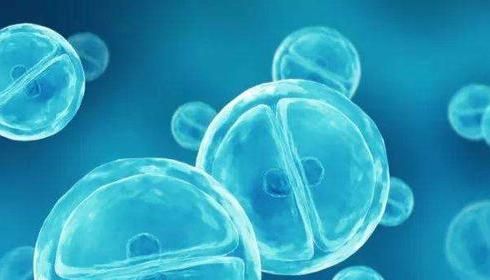 荧光免疫层析原理的简单介绍