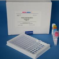 豚鼠豚鼠40S核糖体蛋白S19(RPS19)ELISA试剂盒