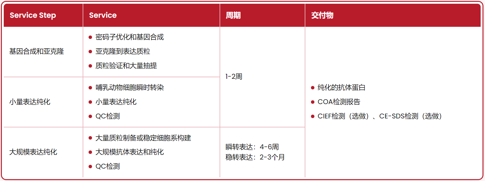 大规模重组抗体表达
