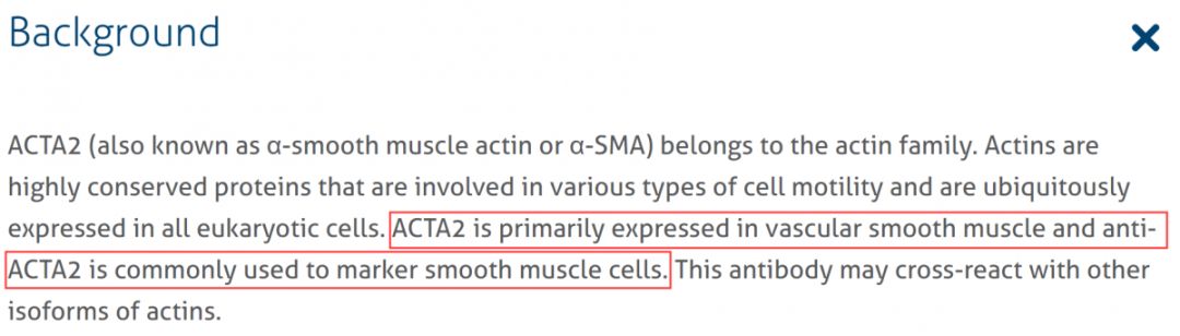 免疫荧光(IF)技术指南