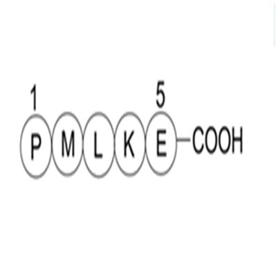 Bax inhibitor peptide P5