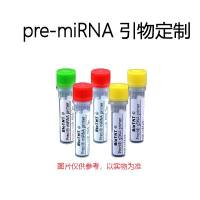 pre-miRNA 引物定制