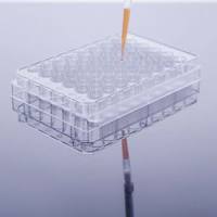 pCDH-CMV-Ttyh2-EF1a-turboRFP-T2A-Puro