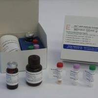 豚鼠3型1-磷酸鞘氨醇受体(S1P3)ELISA试剂盒