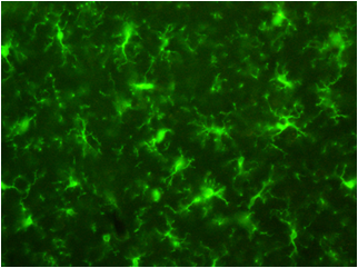 2416062068829705.png 2416062068829705.png