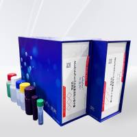  MaxEndoFree无内毒素质粒小提中量试剂盒 