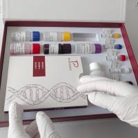 南极犬牙鱼源性成分PCR试剂盒