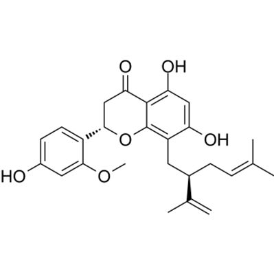 Leachianone A