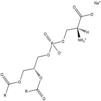 Phosphatidylserines (sodium salt)