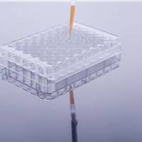 pCDH-CMV-Dll1-EF1a-turboRFP-T2A-Puro