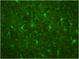 2416062068922654.png 2416062068922654.png