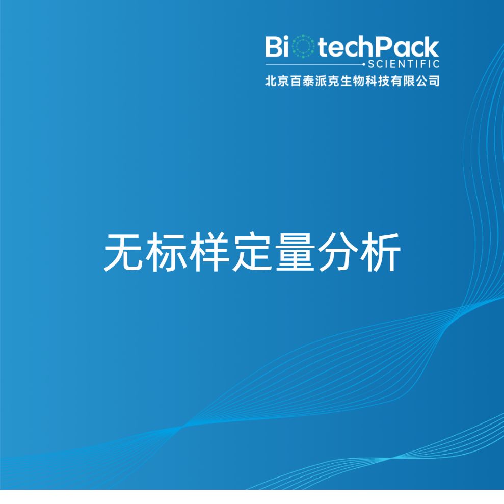 无标样定量分析