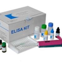 豚鼠肾素(Renin)ELISA试剂盒