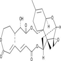 Verrucarin A