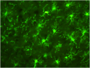 2416062068879669.png 2416062068879669.png