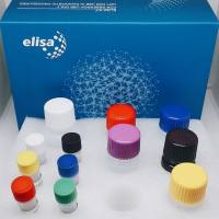 豚鼠26S蛋白酶体非ATP酶调节亚基11(PSMD11)ELISA试剂盒