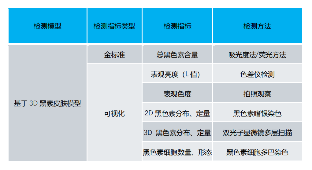 3D黑色素表皮模型--化妆品美白功效体外评估的可视化技术
