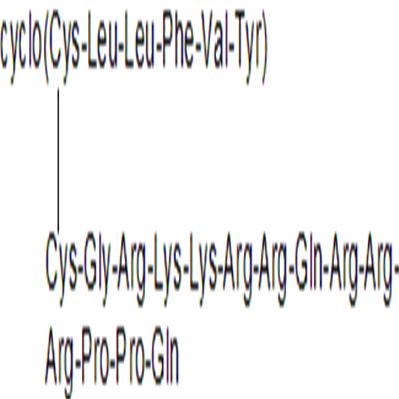 TAT-cyclo-CLLFVY