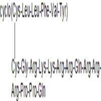 TAT-cyclo-CLLFVY