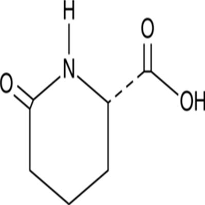 L-Pyrohomoglutamic Acid