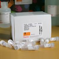 20148赛默飞LightShift化学发光EMSA试剂盒化学发光法Thermo