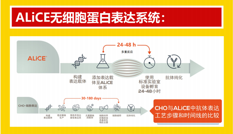 世界上第一款傻瓜式一步法蛋白表达产品!ALiCE无细胞蛋白表达，可量化生产，体系最大10升!