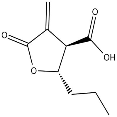 Butyrolactone 3