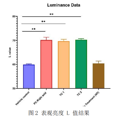 3D黑色素表皮模型--化妆品美白功效体外评估的可视化技术
