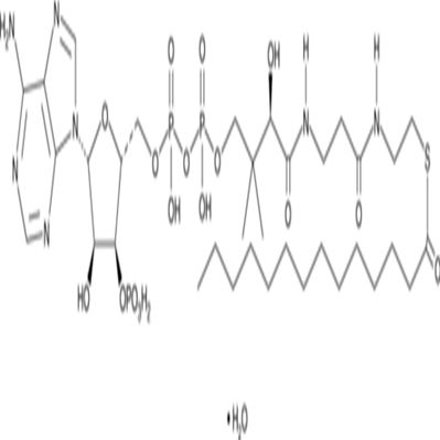 Myristoyl Coenzyme A (hydrate)