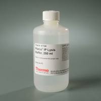 87787/87788赛默飞Pierce IP裂解缓冲液免疫沉淀蛋白提取Thermo
