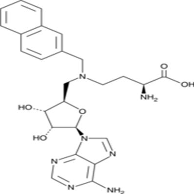 Bisubstrate Inhibitor 78