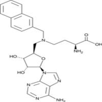 Bisubstrate Inhibitor 78