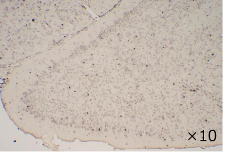 03700482_img06.png 03700482_img06.png