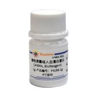 植物源重组人血清白蛋白(≥99%, BioReagent)