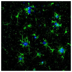 091588986600.png 091588986600.png