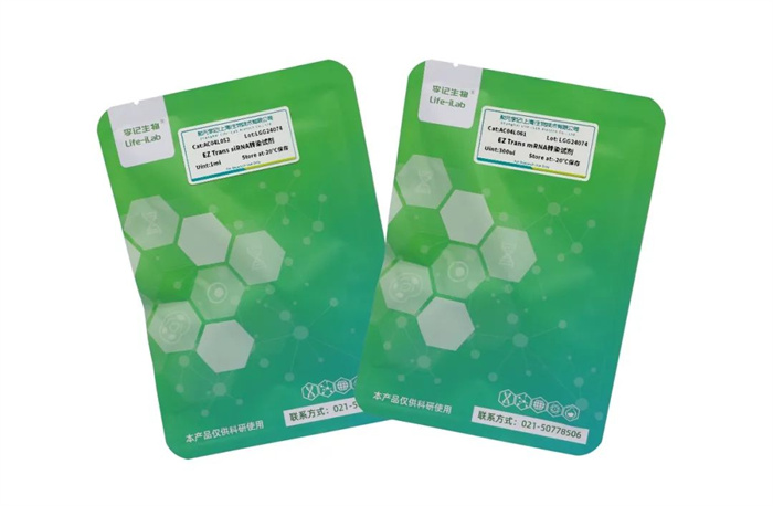 新品上市｜EZ Trans siRNA&amp;mRNA转染试剂助力科研！