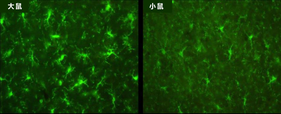 261574732283.jpg 261574732283.jpg