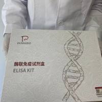 马铃薯源性成分PCR试剂盒