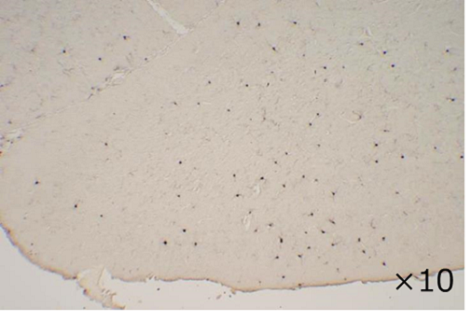 03700482_img04.png 03700482_img04.png