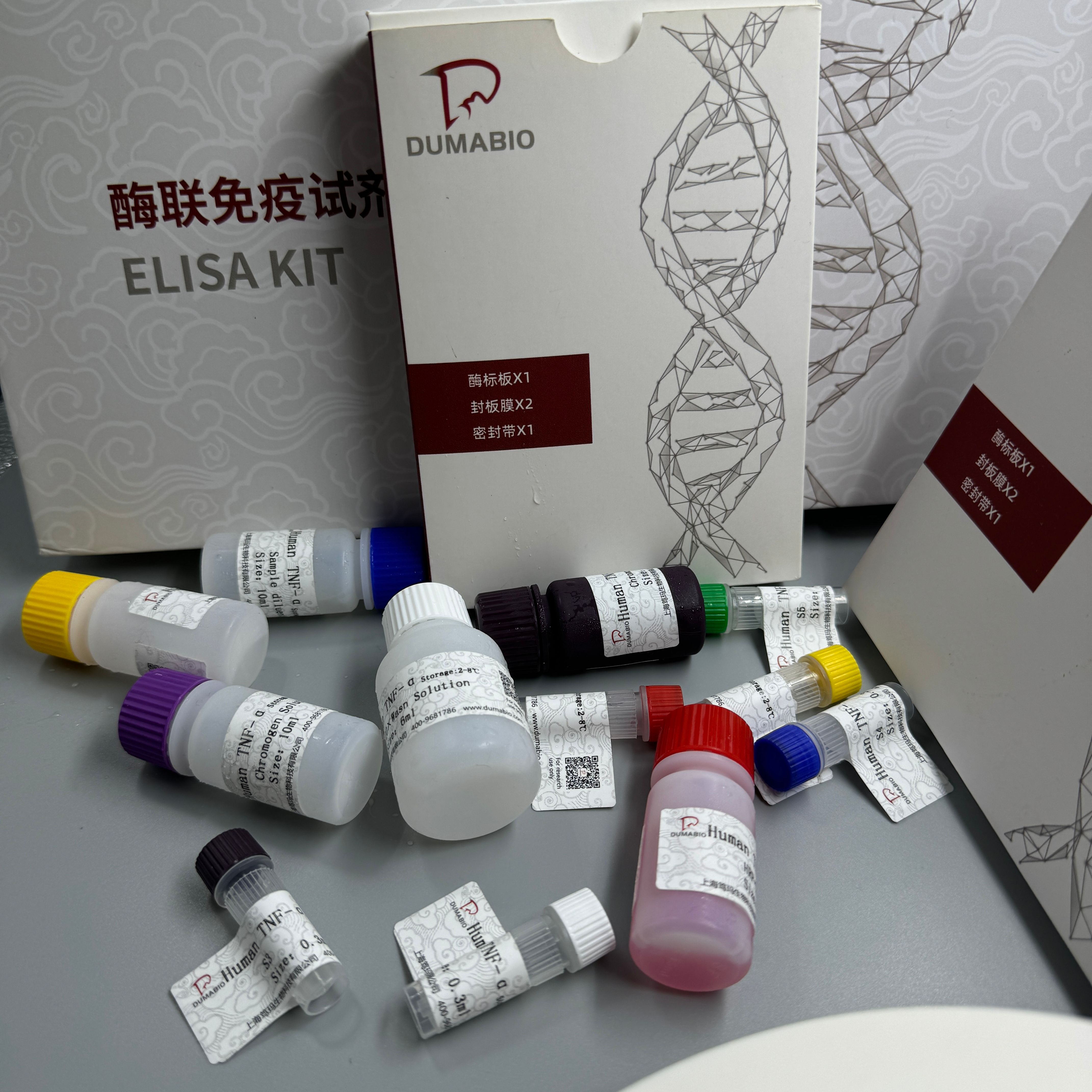 Gibberella fujikuroi赤霉菌PCR试剂盒