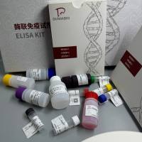 Gibberella fujikuroi赤霉菌PCR试剂盒