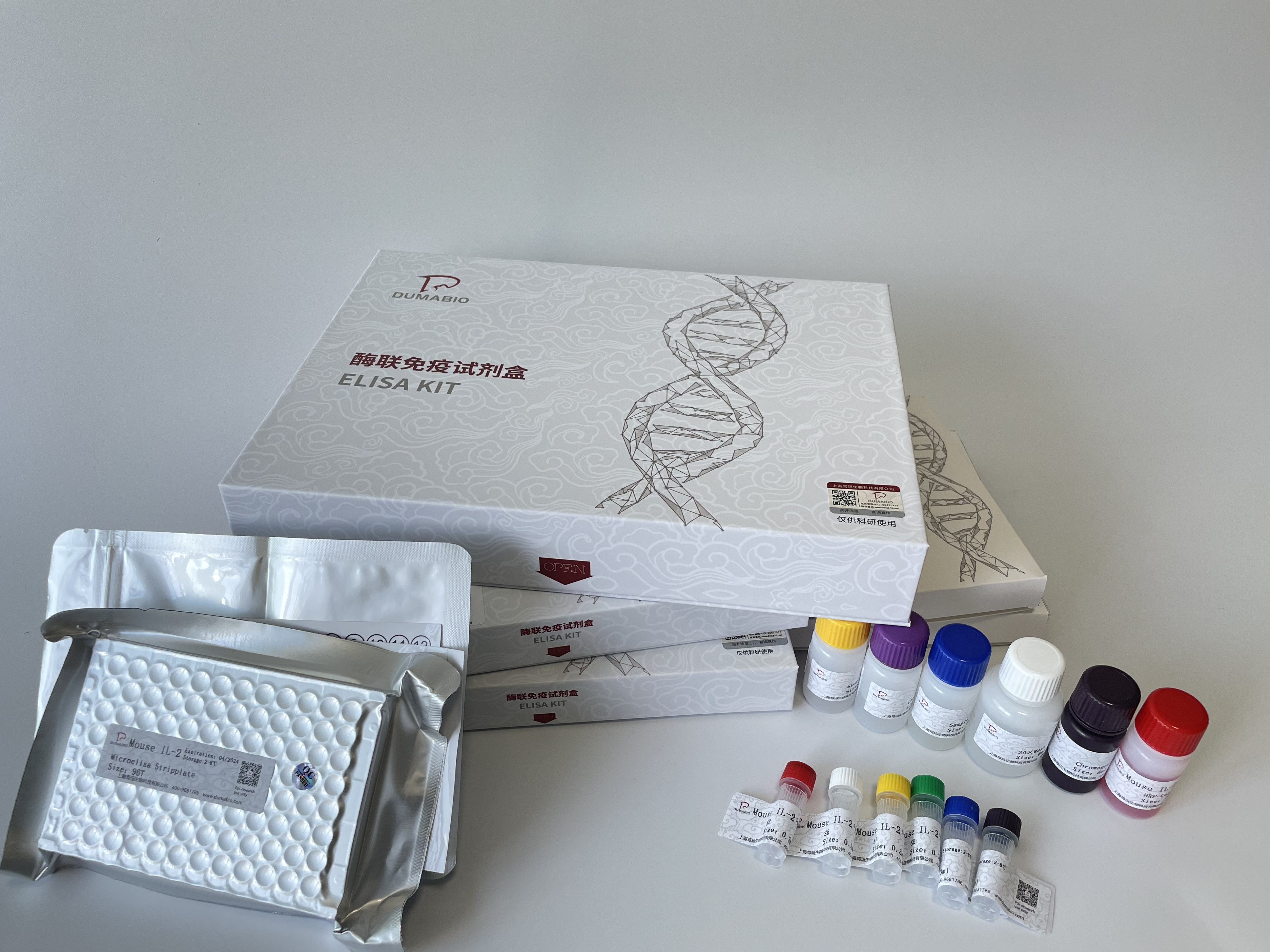 Canine respiratory coronavirus