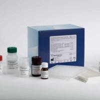 豚鼠3型1-磷酸鞘氨醇受体(S1P3)ELISA试剂盒