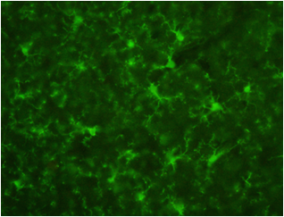 2416062068954277.png 2416062068954277.png