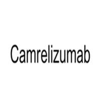 Camrelizumab