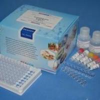 豚鼠神经蛋白聚糖(NCAN)ELISA试剂盒