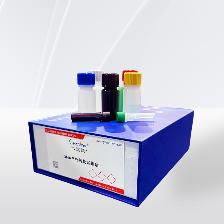 DNA产物纯化试剂盒