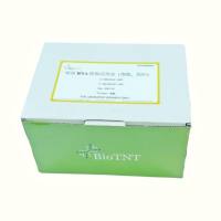 1型胶原氨基端延长肽检测试剂盒（PINP)(国内药械品牌精选  96T)