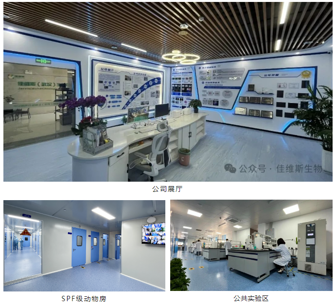 佳维斯生物
