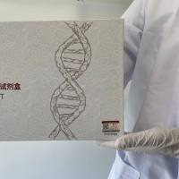 Paenibacillus mucilaginosus胶冻样类芽孢杆菌PCR试剂盒